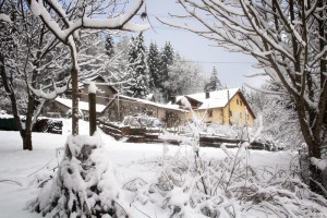 03288 - Im Winter - Immobilien in Frankreich